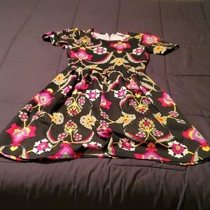 LulaRoe Amelia